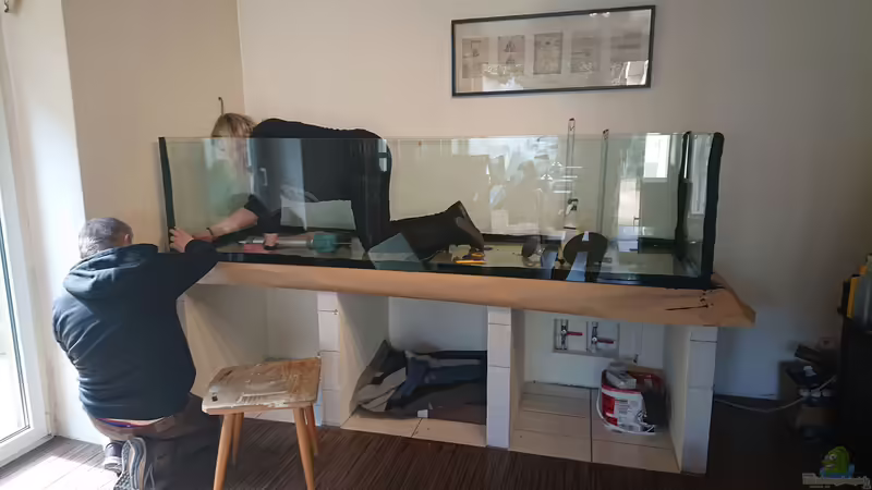 Die Aquariumbaumeisterin von DennisTheMenis (8)