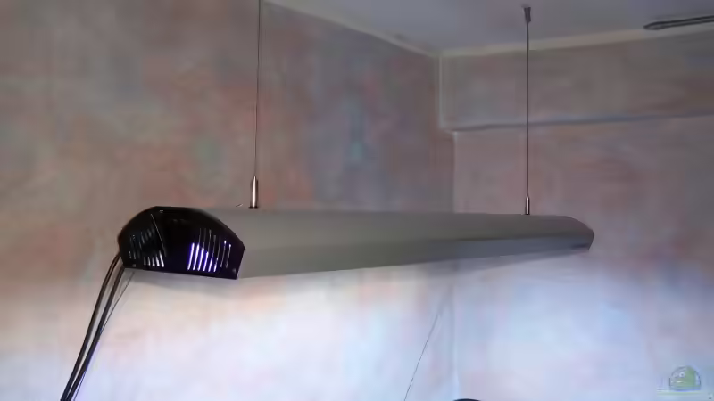 Die Aquastarlight mit den 4 Röhren von Frank Wissner (4)