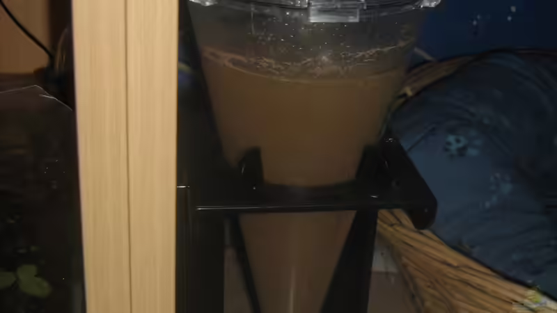 Die Artemiazucht von chrisi01 (22)