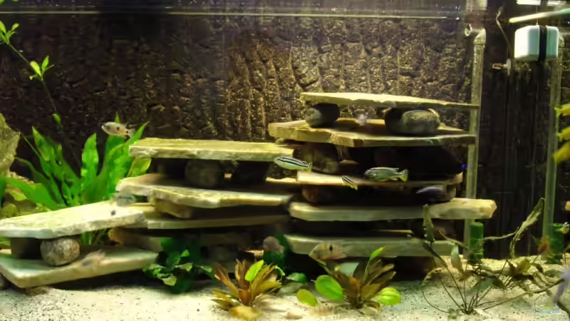 Die aufgeschichteten Natursteinplatten von Troll (8)