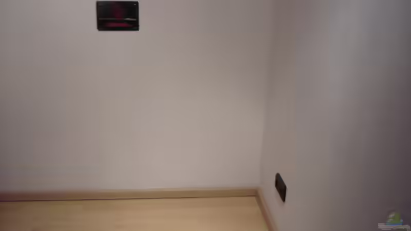 Die auserwählte ecke von Der Dortmunder (2)