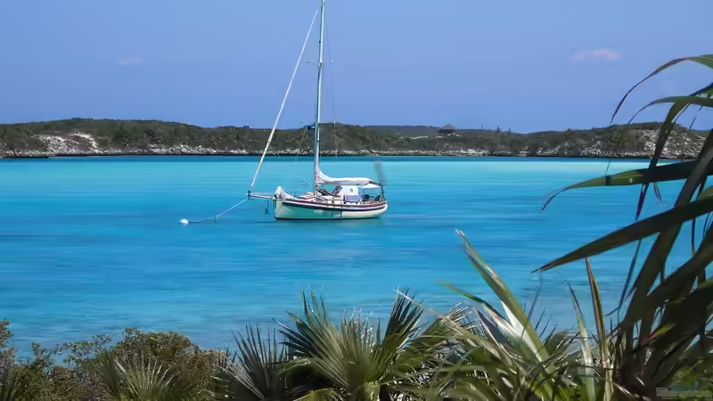Die Bahamas: Ein Urlaubsparadies aus aquaristischer und terraristischer Sicht