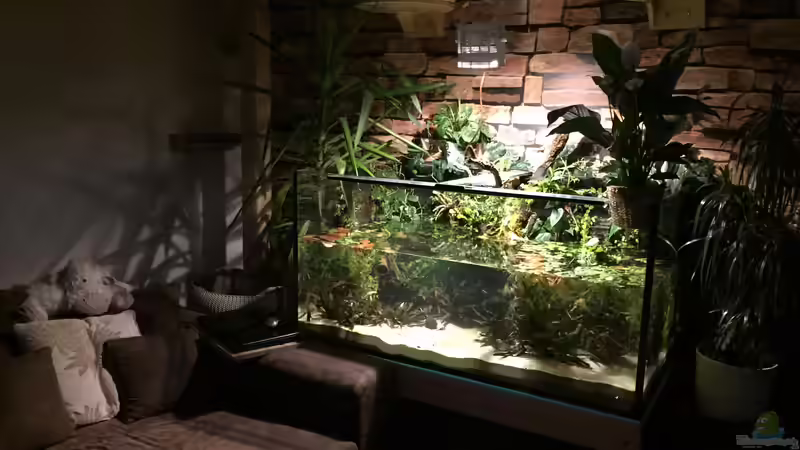 Die Basis steht erstmal von Botia (2)