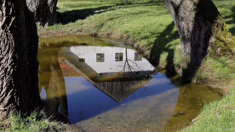 Die Bedeutung von Wurzelsperren am Gartenteich: Warum sie unverzichtbar sind für ein gesundes Ökosystem