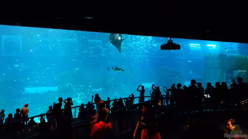 Die beeindruckendsten Aquarien der Welt 