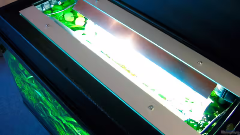 die beiden 15W Leuchtstoffröhren mit der selbst gebastelten Aluminium-Aufhängng von Simon John (13)