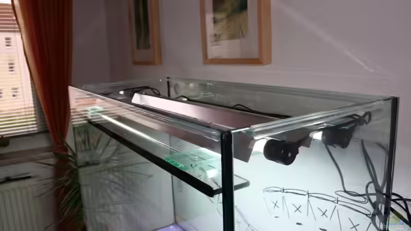 Die beiden 39W/T5 Röhren liegen mit den Reflektoren auf den Querstreben des AQ auf von @mazonas (49)