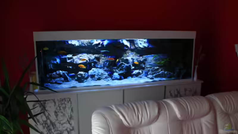 Die beiden äusseren Frontplatten graumeliert foliert als Auflockerung. von Frank Hopp (30)