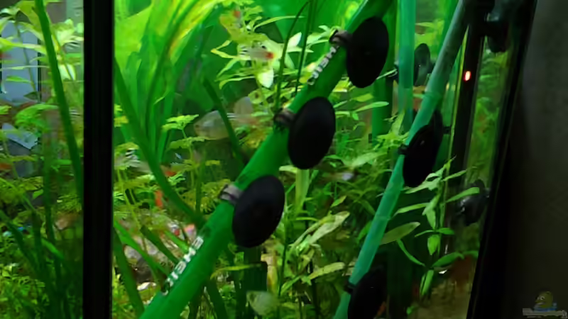 die beiden ausstroemerrohre von phrankdiddie (19)