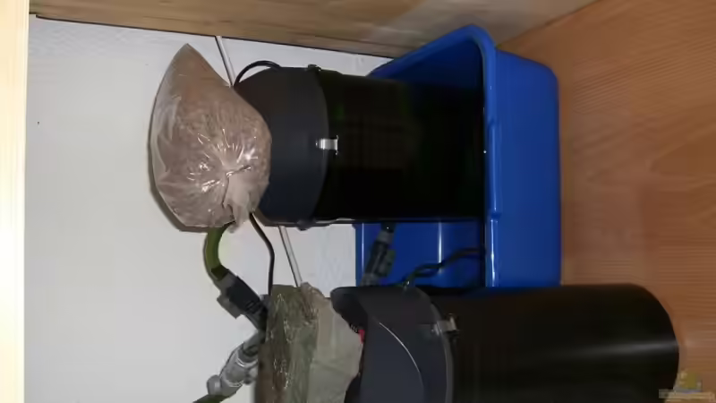 Die beiden Eheim Aussenfilter von Johannes (11)