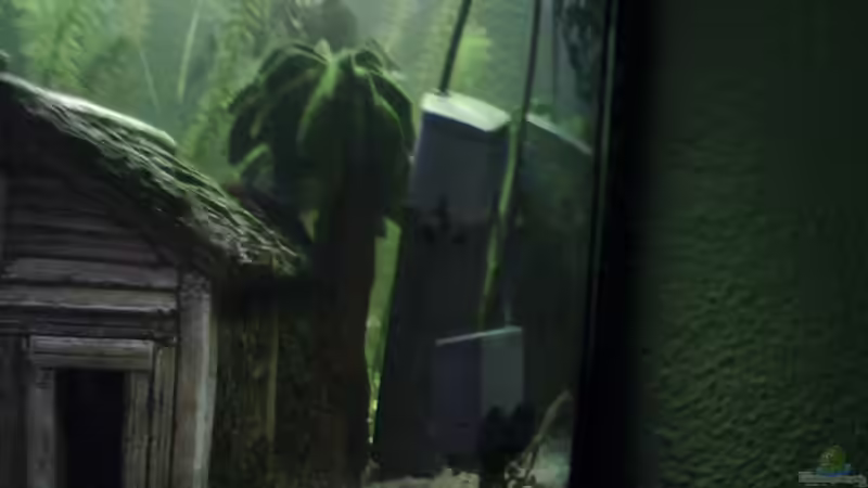 Die beiden Filter von Niklas Jäschke (2)