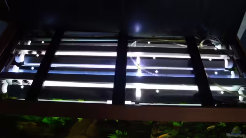 Die beiden Leuchtbalken von Nils G. (5)