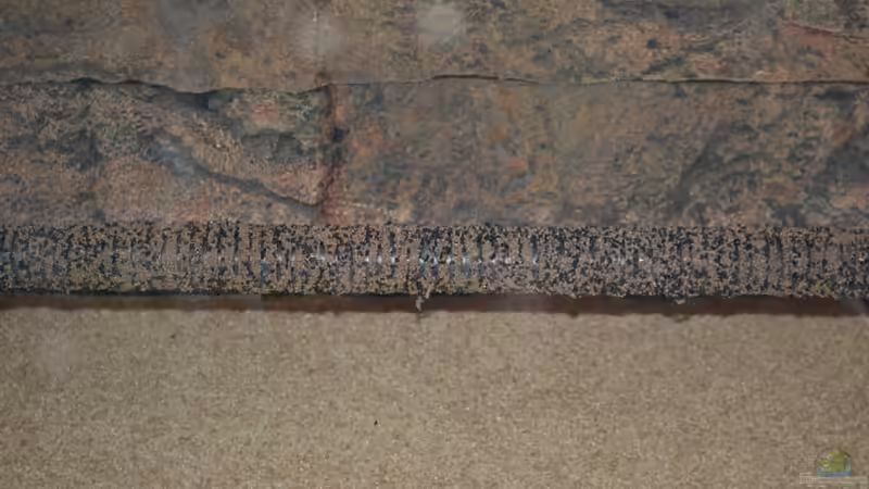 Die beklebten Ansaugrohre vor der Rückwand, die beklebte Schutzmatte darunter. von GGuardiaNN (31)