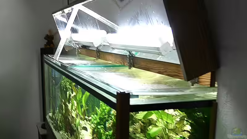 Die Beleuchtund des vorderen Teils besteht aus zwei 18 Watt African-Lake. von Ingo (22)