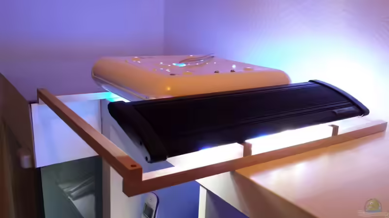 Die Beleuchtung auf dem Gestell von Amazonasbecken.eu (16)