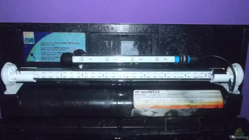 Die Beleuchtung von Aquaristricks (15)