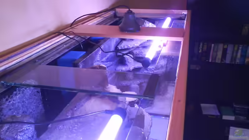 Die Beleuchtung von LaEy (43)