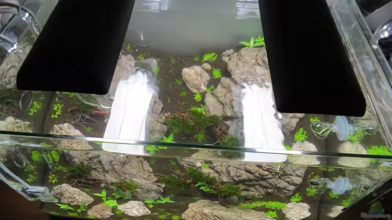 Die Beleuchtung von oben von BastiB (25)