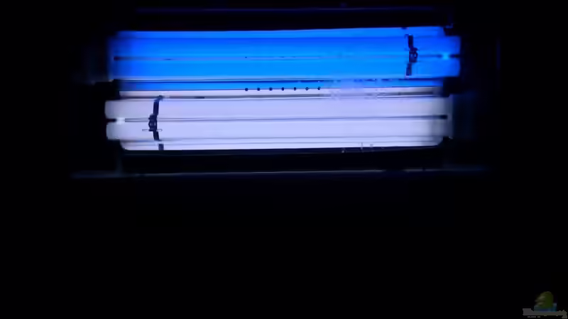 Die Beleuchtung von Rene Rohrer (5)