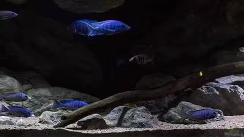 Die ??bergangszone .. [mittleres Drittel vom Becken]!! von AjakAndi (5)