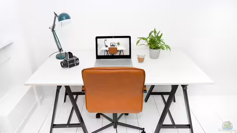 Die besten Zimmerpflanzen für dein Büro oder Homeoffice