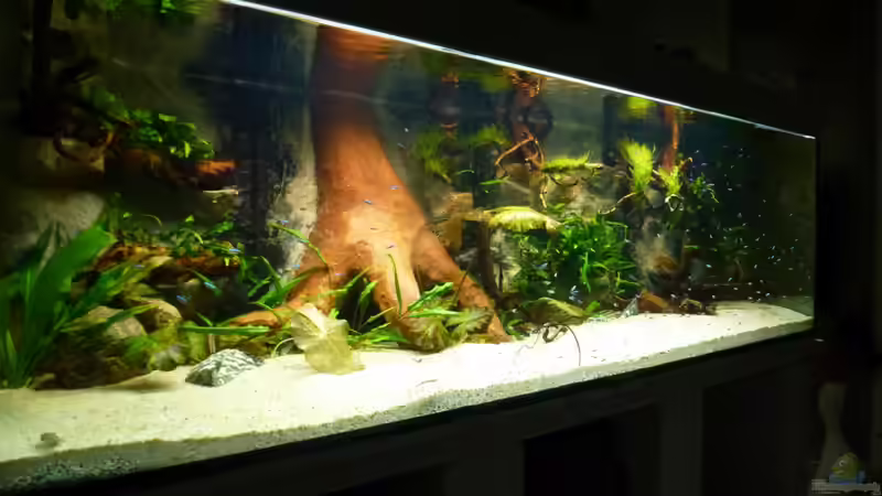 die Bewohner sind eingezogen von master-marko (16)