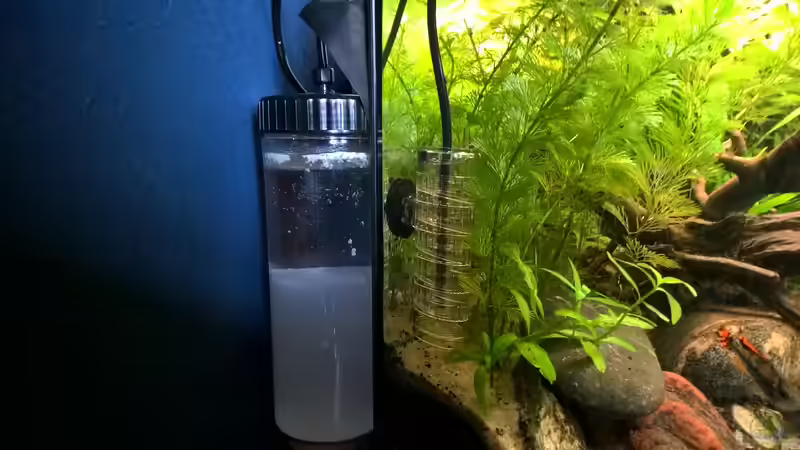 Die Bio CO2 Anlage von Martin L. (6)