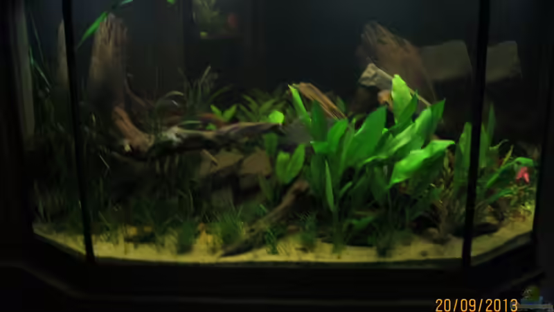 die ´Bodentruppe´ ist eingezogen von Paul B. (13)