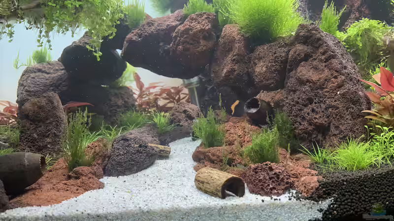 Die Brücke von Matze3110 (8)