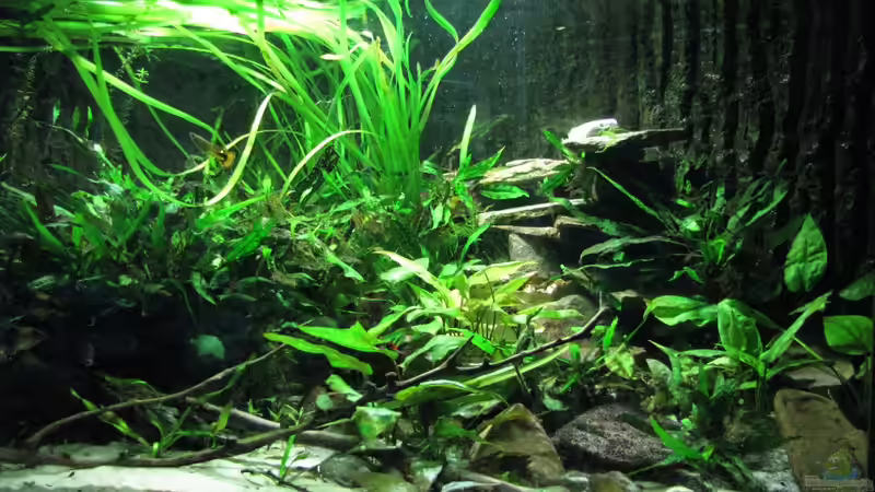 Die ´Burg´; von beiden LED voll erleuchtet von Lixa (6)