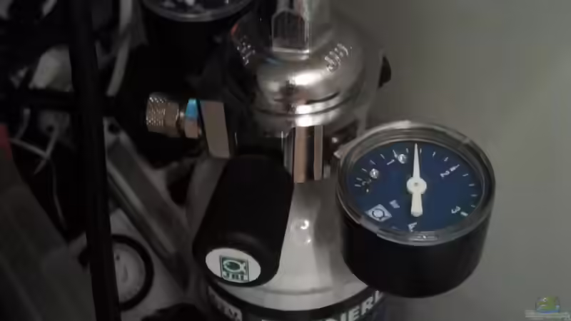 Die CO2- Quelle von Zebraschecke (28)