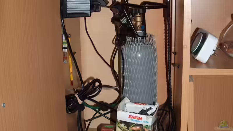 Die CO2-Zugabe erfolgt so lange, bis im Aquarium ein pH-Wert von 6,8 erreicht ist. von Michael Kunz (6)