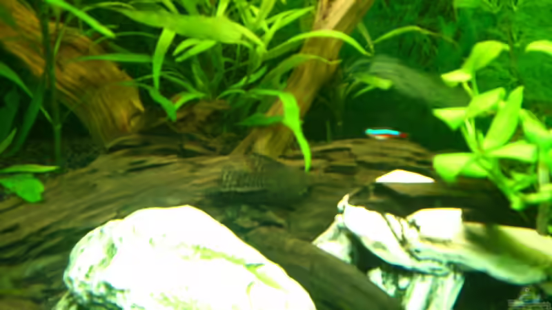 Die Dame fühlt sich wohl auf ihrem Stammplatz von Stephan Groß (38)