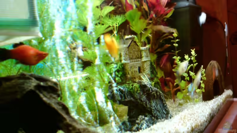 die Deko von DaVeyD (18)