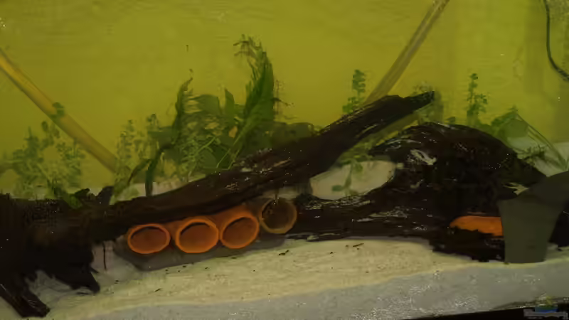 die dekoration im vorderen teil von Lennart Huebner (2)