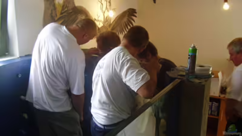 Die dritte Scheibe von Kerstin Aßlaber (23)