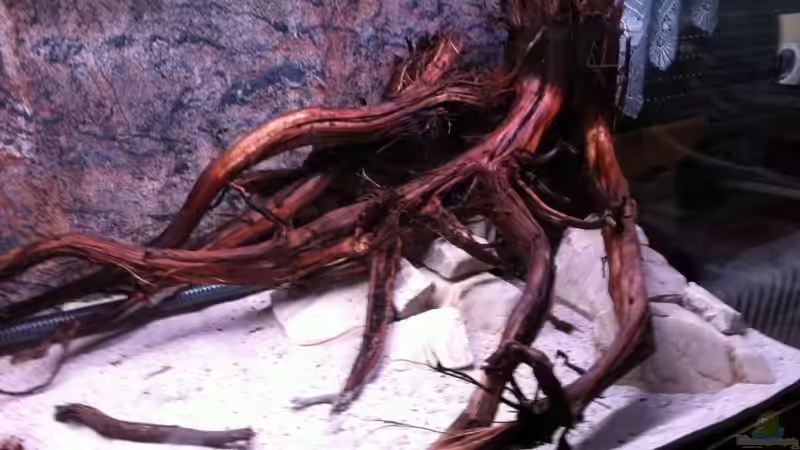 Die Ecke des rechten Schenkels von GGuardiaNN (54)