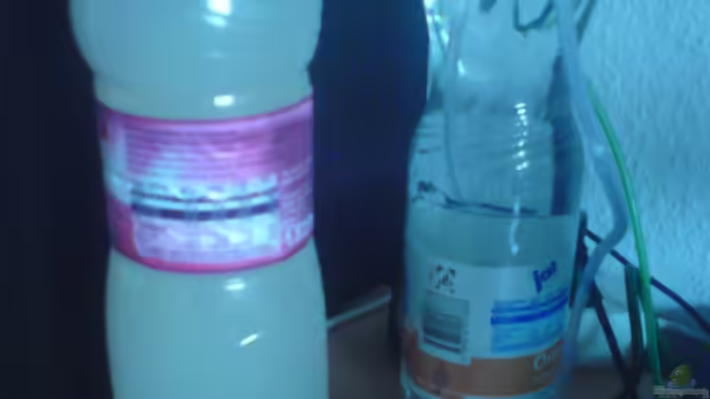 Die Eigenbau Bio-CO² ´Anlage´ von Pinkie (6)