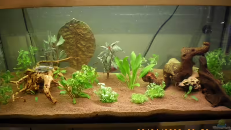 Die Einlaufphase ( 30.04.2009 )  von Manuel Well (2)