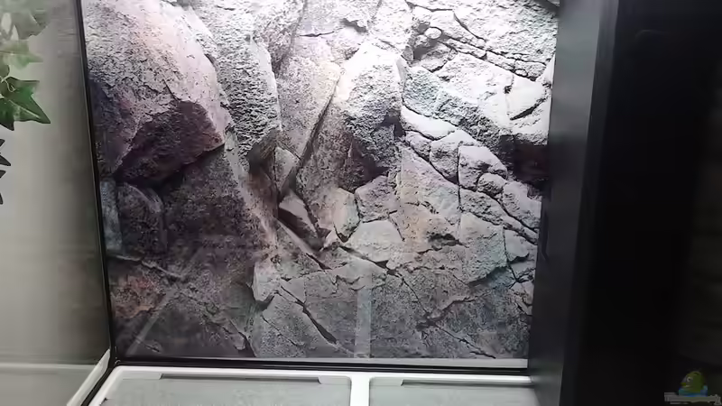 Die Einrichtung von Herr H. (3)