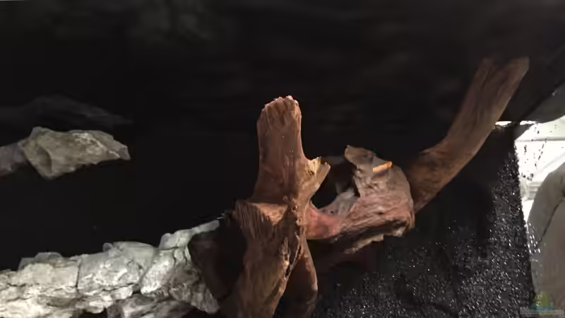 Die Einrichtung von Marius Stößer (12)