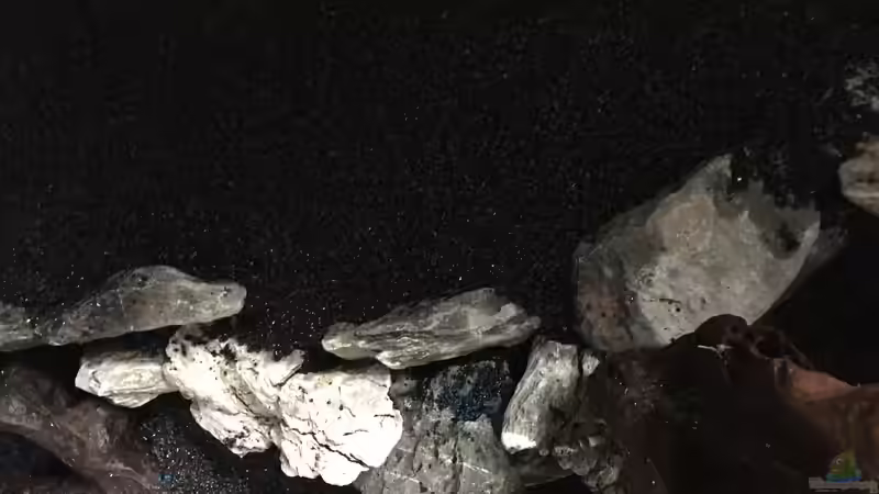 Die Einrichtung von Marius Stößer (13)