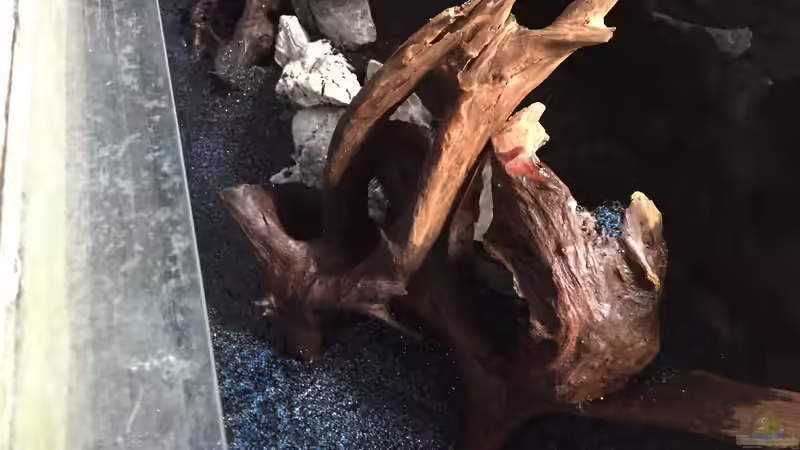 Die Einrichtung von Marius Stößer (14)