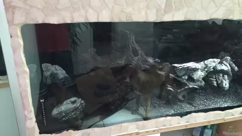 Die Einrichtung von Marius Stößer (16)