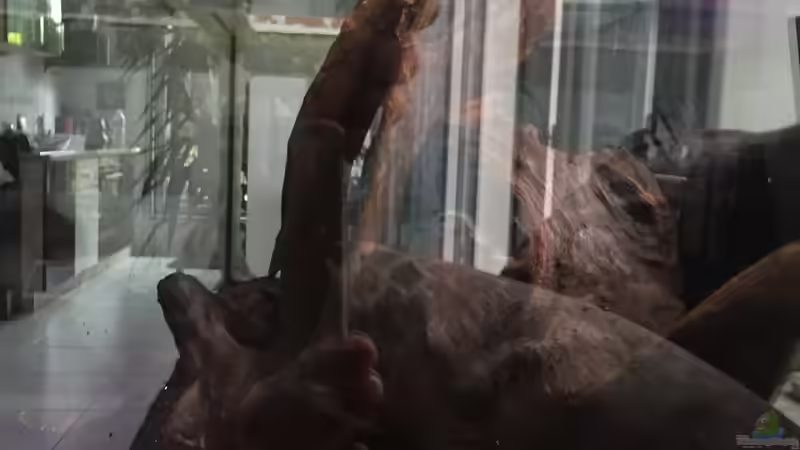 Die Einrichtung von Marius Stößer (18)