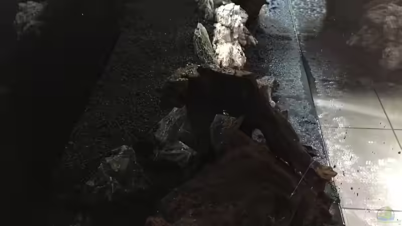 Die Einrichtung von Marius Stößer (20)