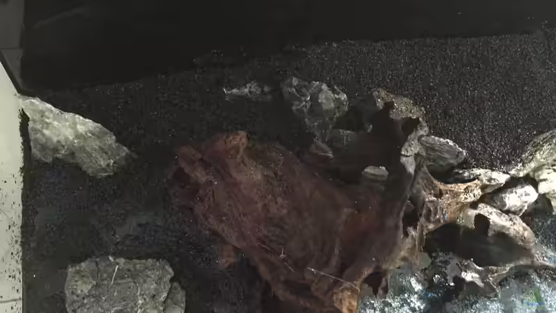 Die Einrichtung von Marius Stößer (21)