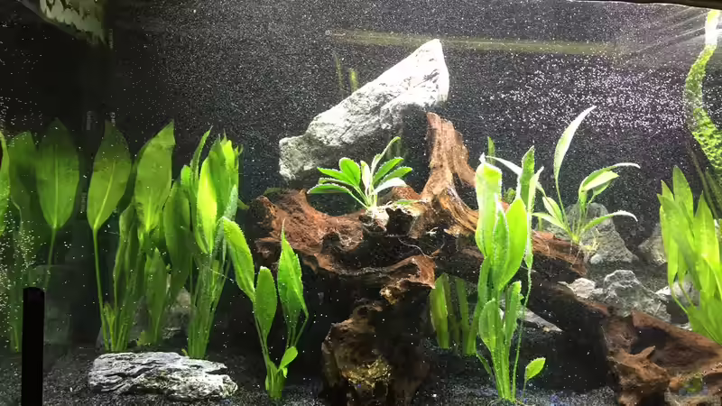 Die Einrichtung von Marius Stößer (25)