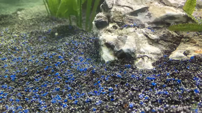 Die Einrichtung von Marius Stößer (26)