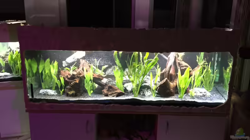 Die Einrichtung von Marius Stößer (28)